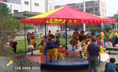 簡(jiǎn)易轉(zhuǎn)馬圖片